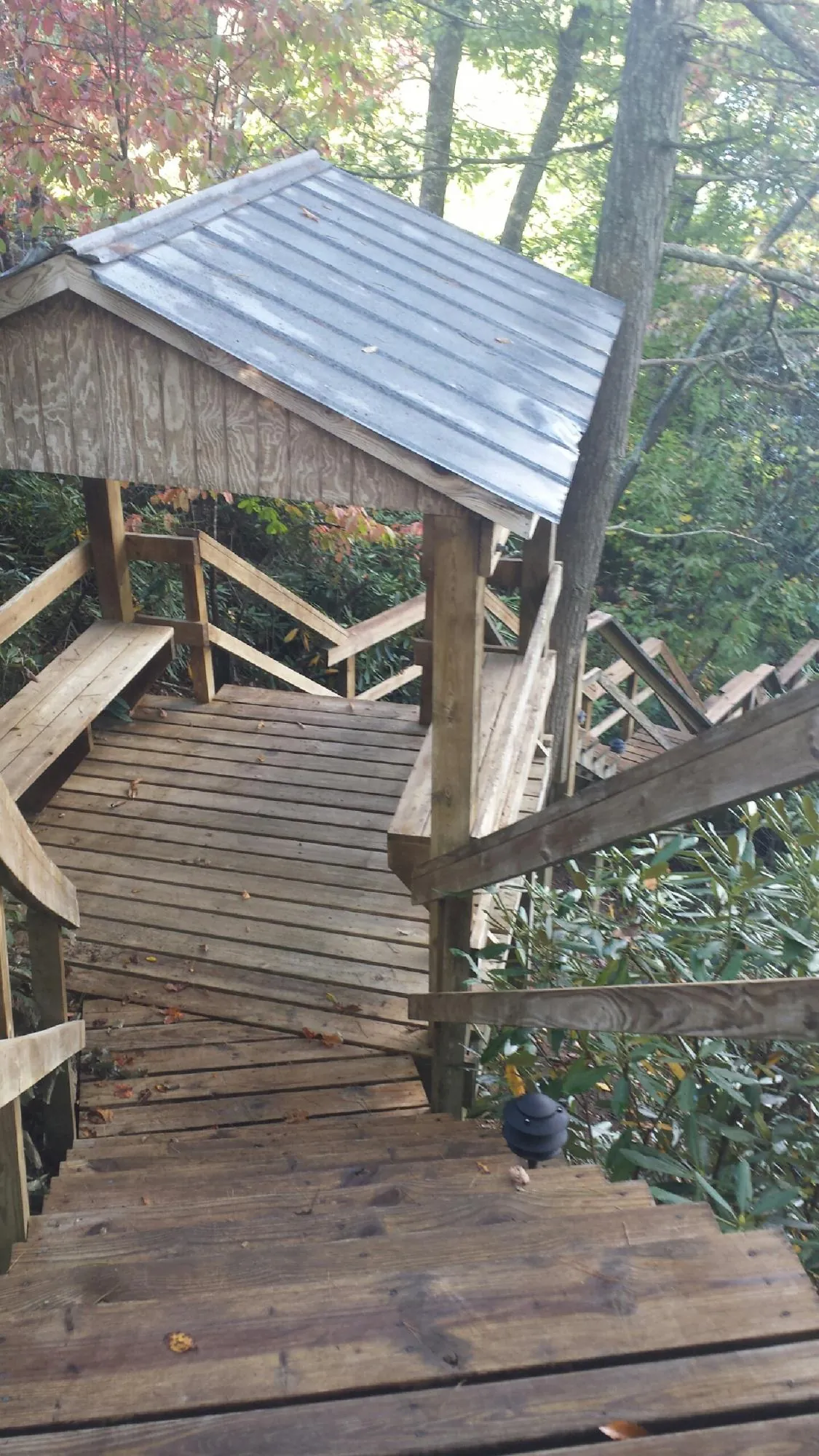 Metal roofed shelter over wooden steps on a wooded walkway — Skylight Repair & Installation work by our crew in Port Gamble