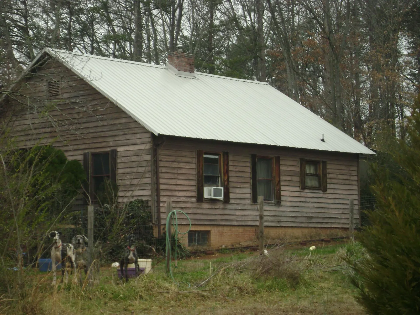 White metal roof on an old wood sided farmhouse, from a Asphalt Shingle Roof Repair job in Port Gamble